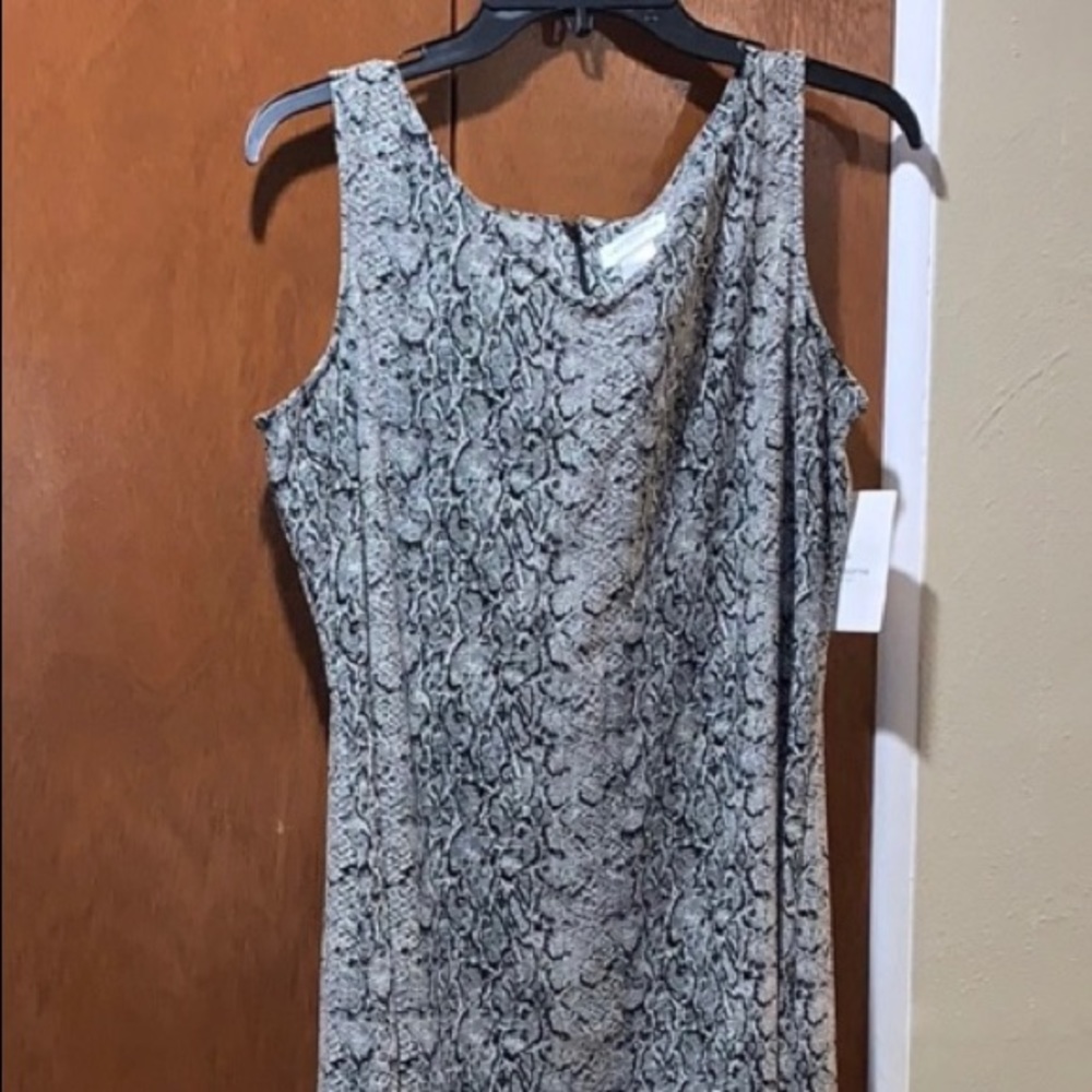 Women’s dress